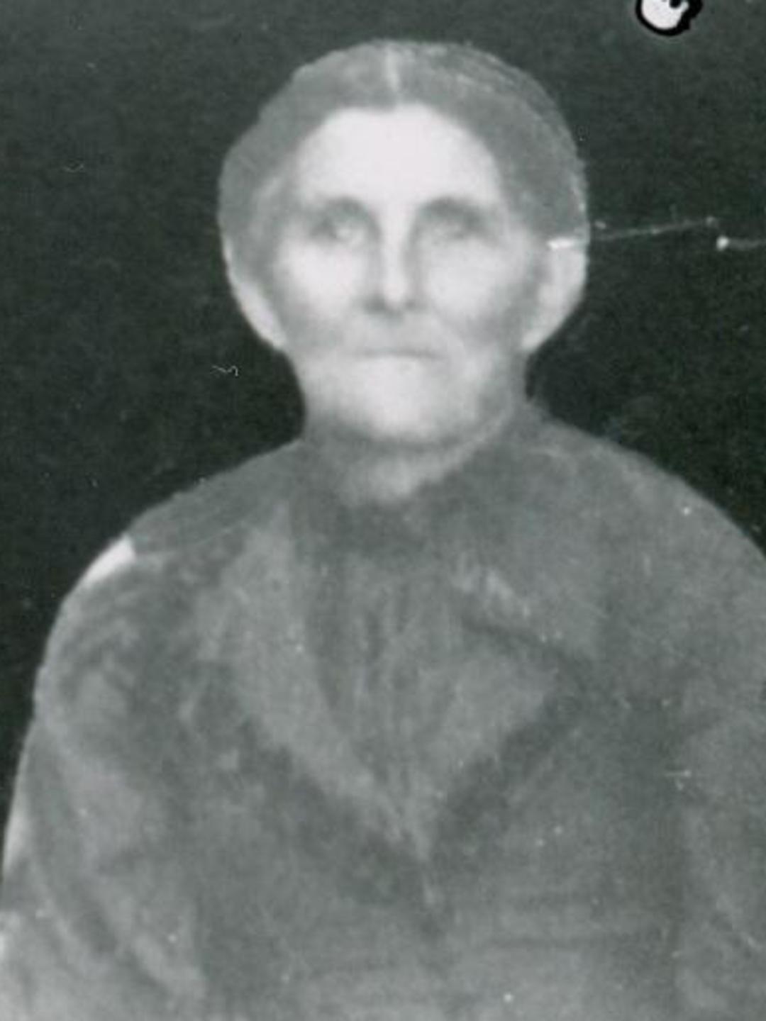 Phoebe Ann Pendleton (1848 - 1902) Profile